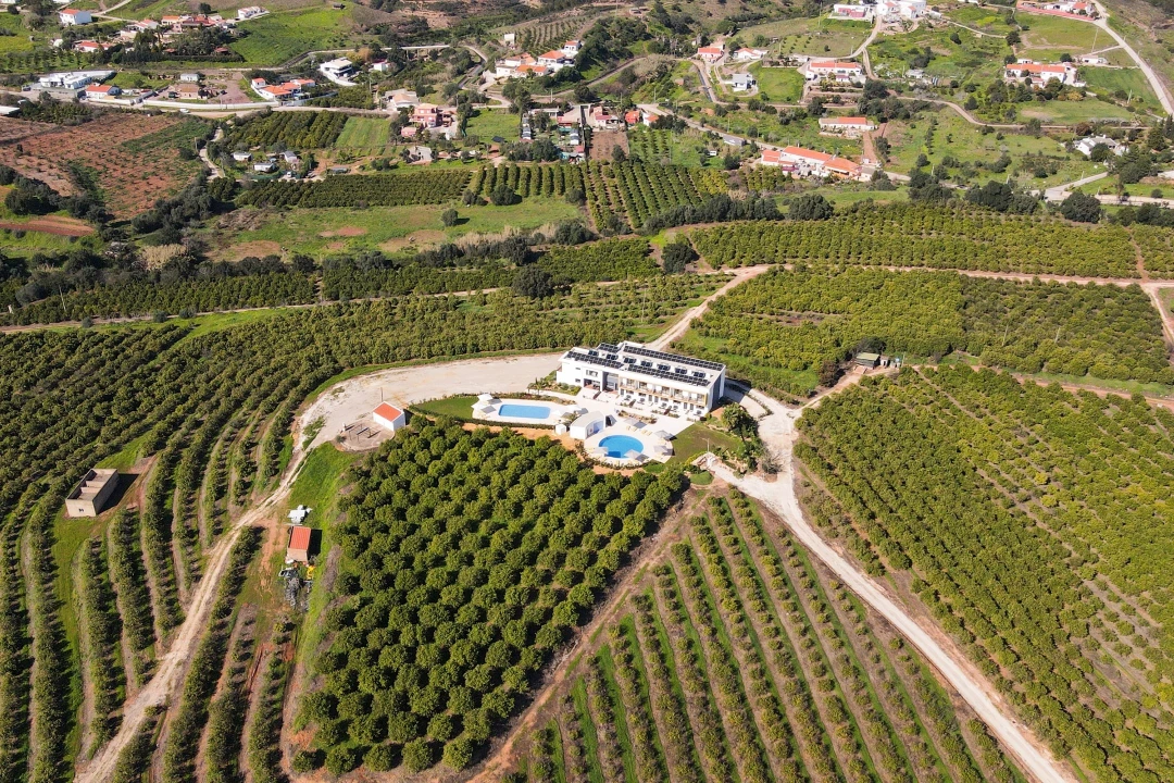 Negócio para Venda em São Silvestre Foto 6