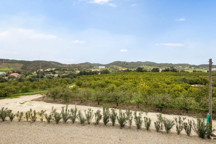 Negócio para Venda em São Silvestre Foto 13