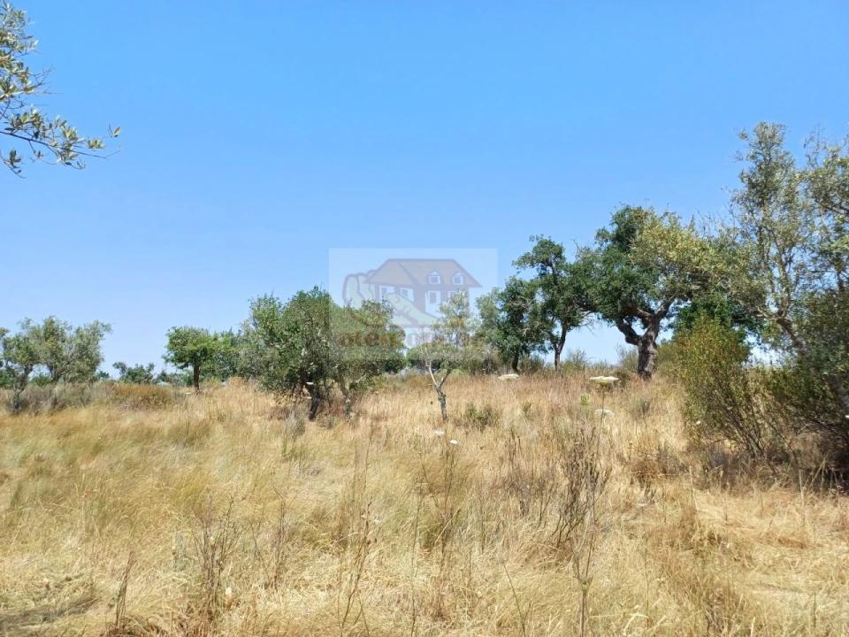 Terreno Misto para Venda em Grândola e Santa Margarida da Serra Foto 12