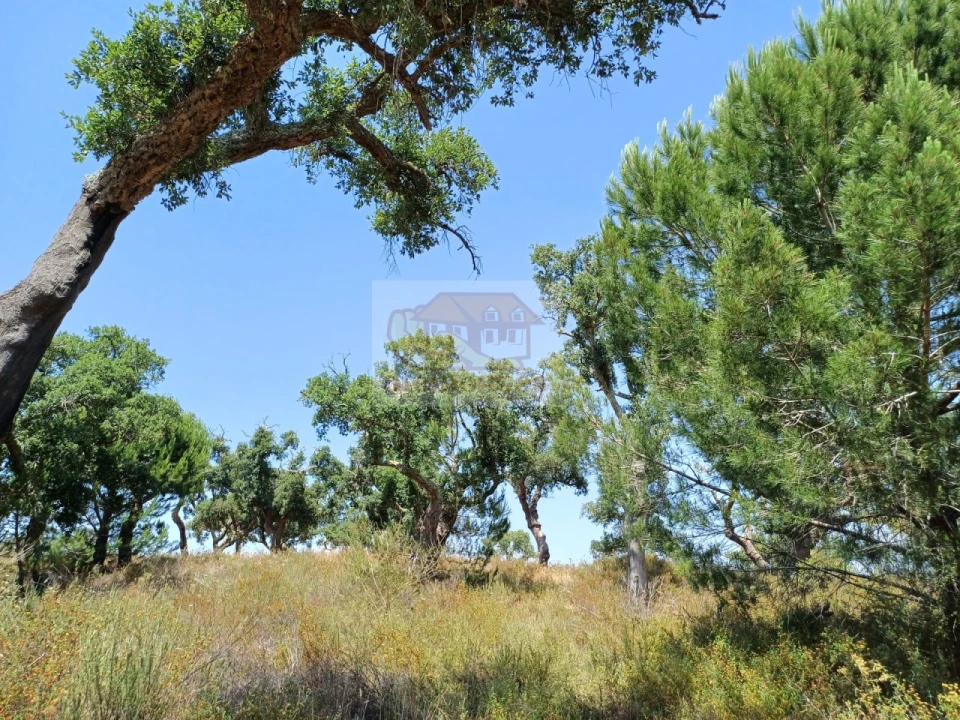 Terreno Misto para Venda em Grândola e Santa Margarida da Serra Foto 13