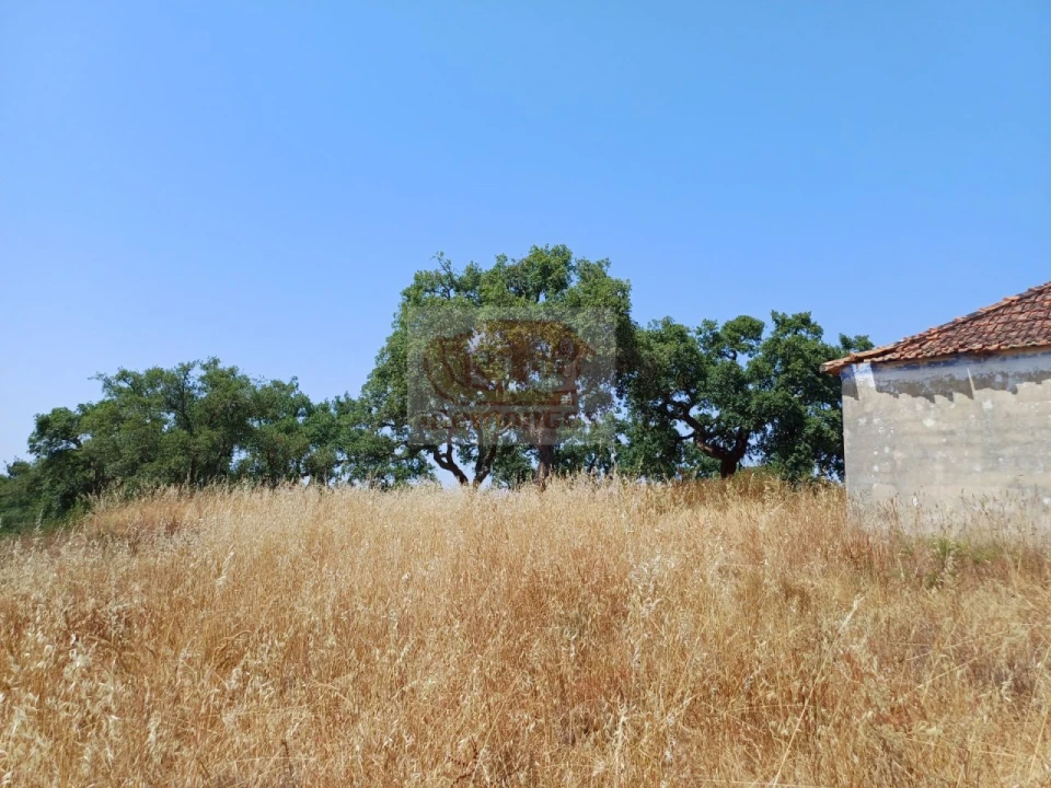 Terreno Misto para Venda em Grândola e Santa Margarida da Serra Foto 10
