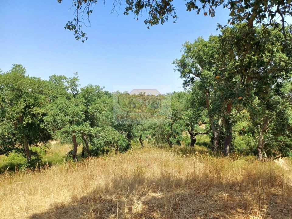 Terreno Misto para Venda em Grândola e Santa Margarida da Serra Foto 3
