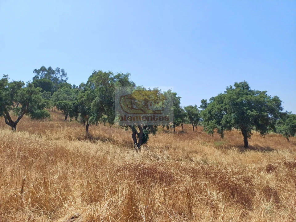 Terreno Misto para Venda em Grândola e Santa Margarida da Serra Foto 7