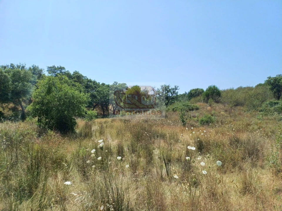Terreno Misto para Venda em Grândola e Santa Margarida da Serra Foto 14