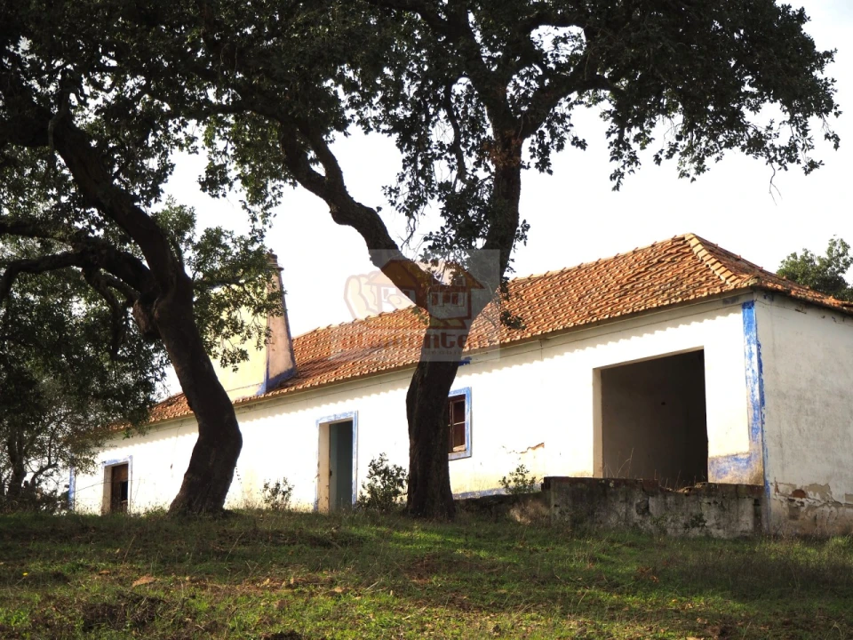 Terreno Misto para Venda em Grândola e Santa Margarida da Serra Foto 1