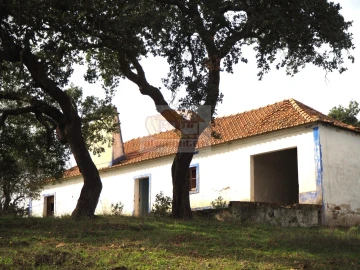 Terreno Misto para Venda em Grândola e Santa Margarida da Serra