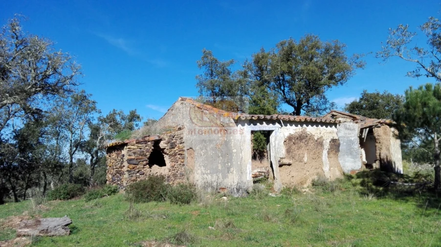 Terreno Misto para Venda em Grândola e Santa Margarida da Serra