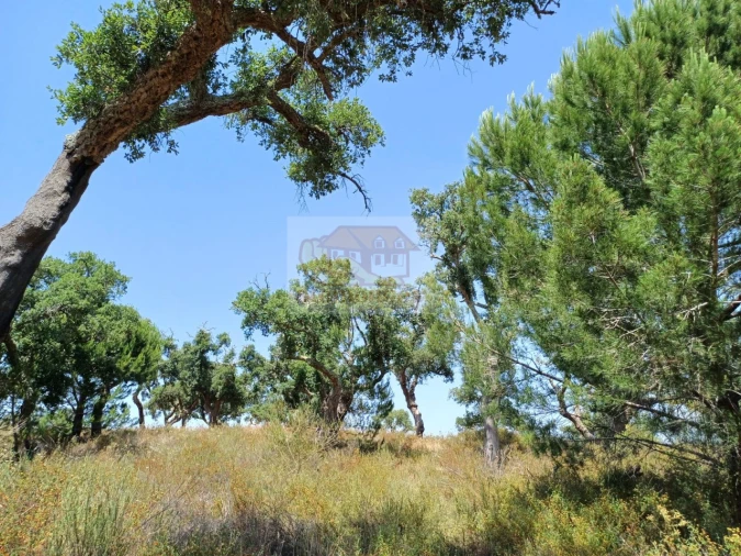 Terreno Misto para Venda em Grândola e Santa Margarida da Serra Foto 13