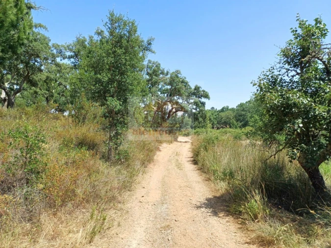 Terreno Misto para Venda em Grândola e Santa Margarida da Serra Foto 17