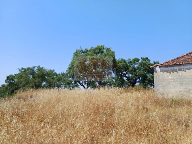 Terreno Misto para Venda em Grândola e Santa Margarida da Serra Foto 10