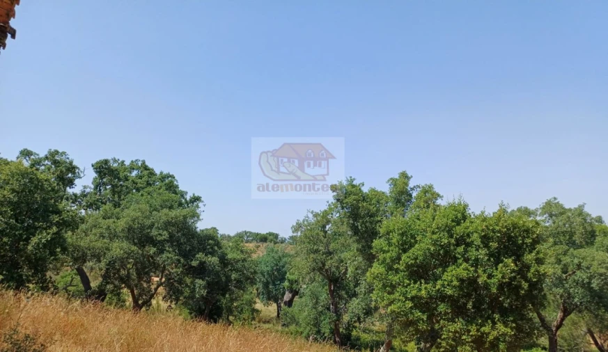 Terreno Misto para Venda em Grândola e Santa Margarida da Serra Foto 4