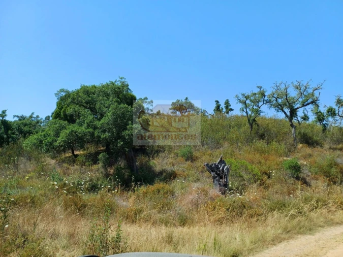 Terreno Misto para Venda em Grândola e Santa Margarida da Serra Foto 15