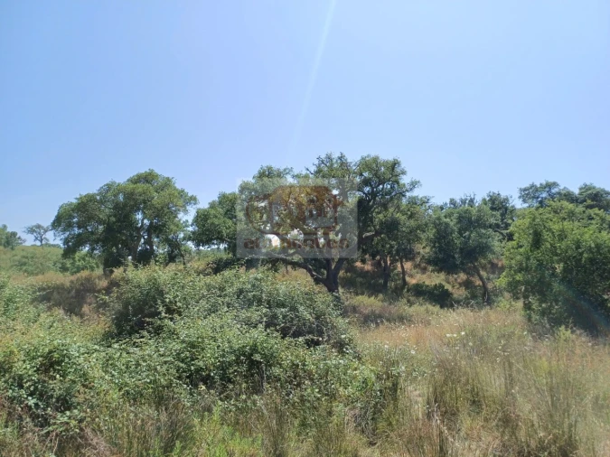 Terreno Misto para Venda em Grândola e Santa Margarida da Serra Foto 16