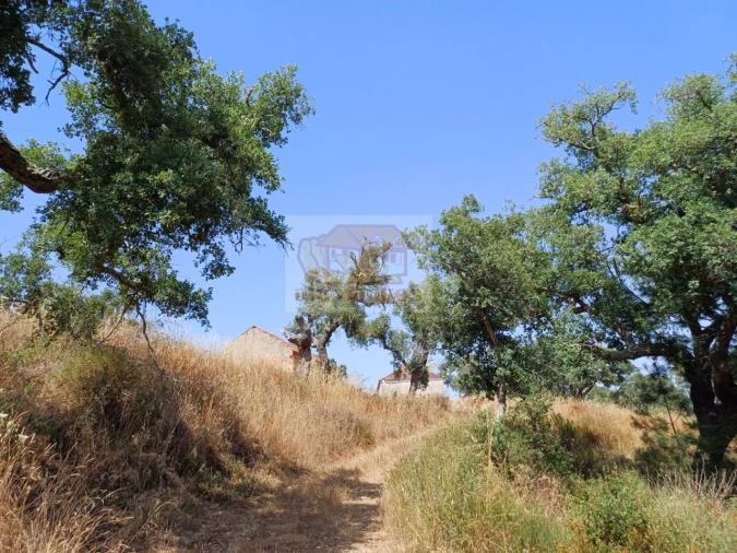 Terreno Misto para Venda em Grândola e Santa Margarida da Serra Foto 11