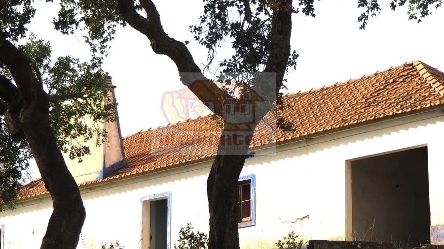 Terreno Misto para Venda em Grândola e Santa Margarida da Serra