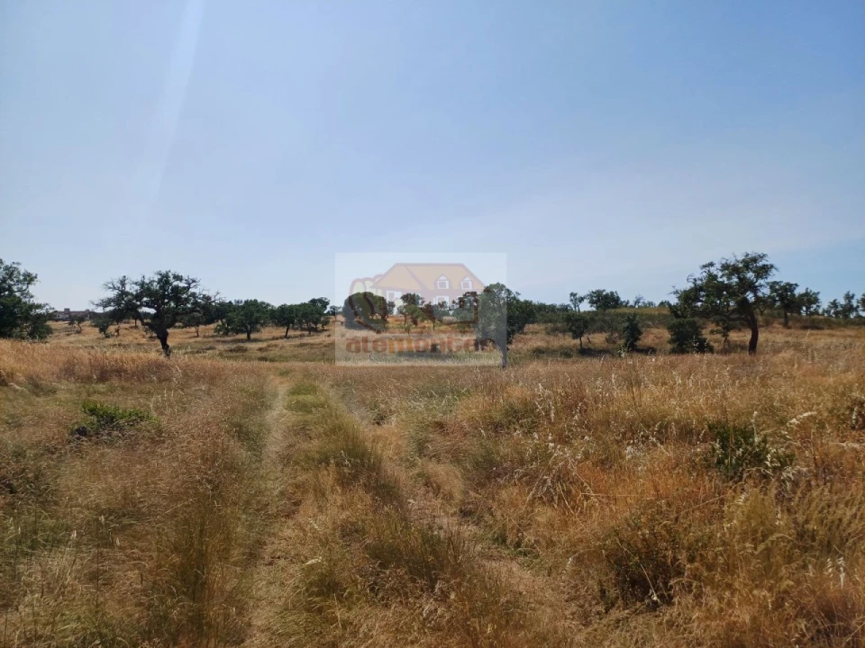 Terreno para Venda em Abela Foto 10