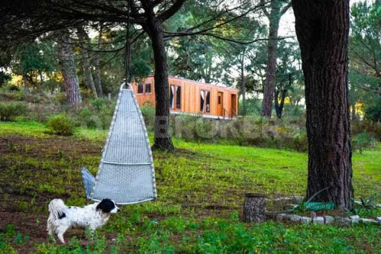 Quinta T3 para Venda em Cortiçadas de Lavre e Lavre Foto 19