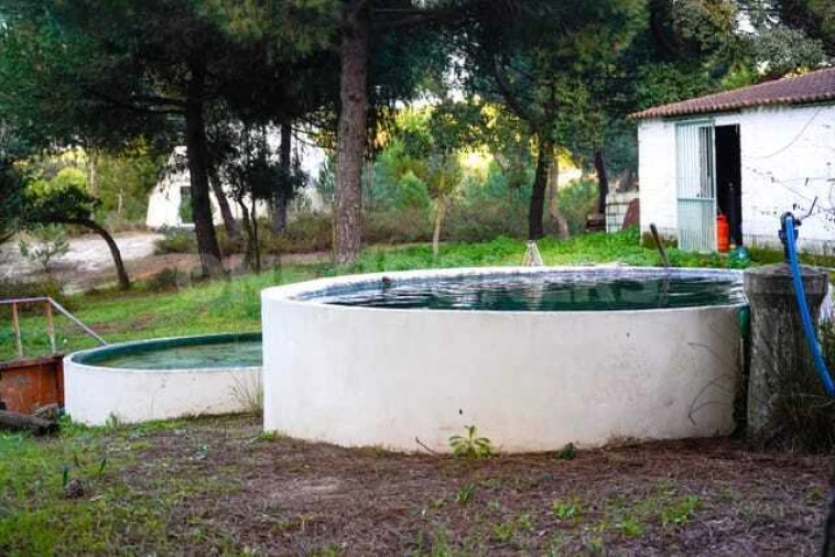 Quinta T3 para Venda em Cortiçadas de Lavre e Lavre Foto 11