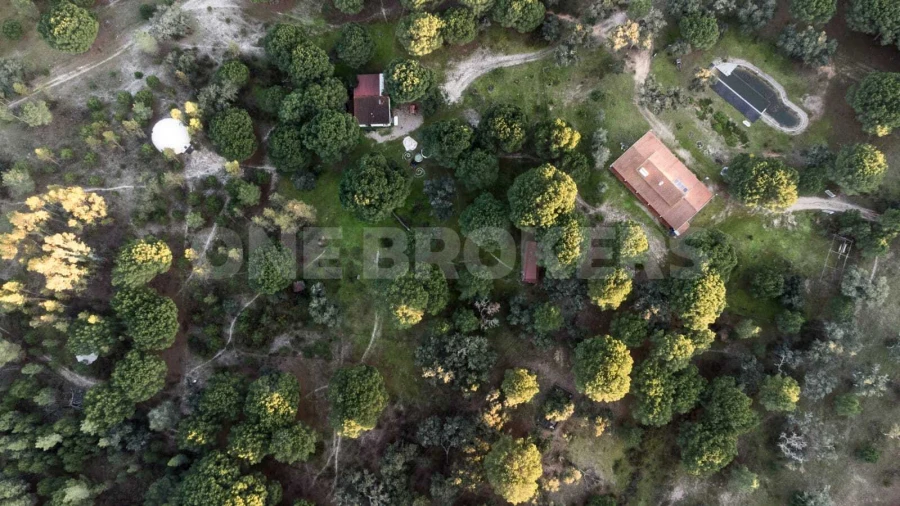 Quinta T3 para Venda em Cortiçadas de Lavre e Lavre Foto 3