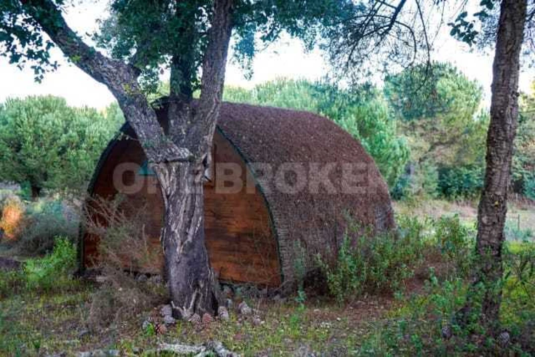 Quinta T3 para Venda em Cortiçadas de Lavre e Lavre Foto 12