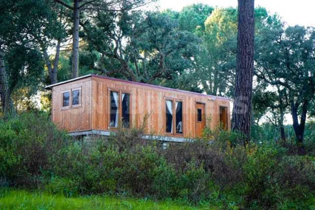 Quinta T3 para Venda em Cortiçadas de Lavre e Lavre Foto 10