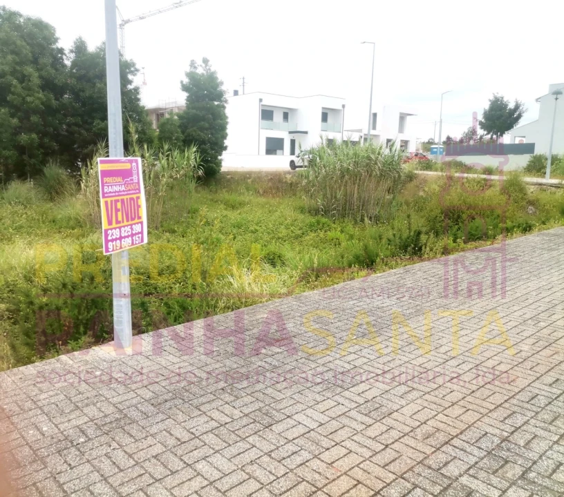 Terreno para Venda em Ançã Foto 1