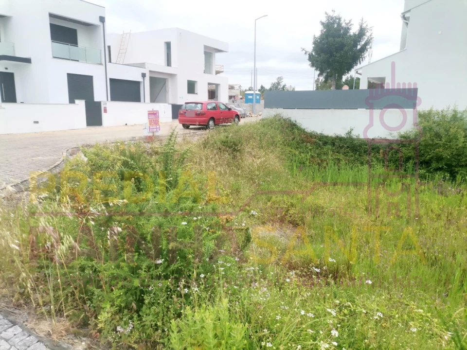 Terreno para Venda em Ançã Foto 2