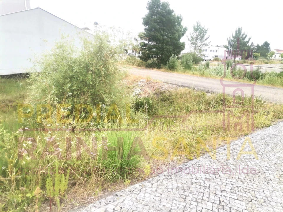 Terreno para Venda em Ançã Foto 1