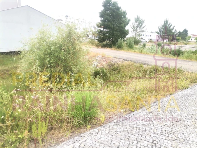 Terreno para Venda em Ançã