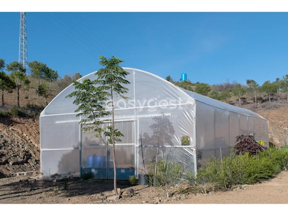 Terreno Agricola ou Rústico para Venda em Vila Nova de Cacela Foto 1