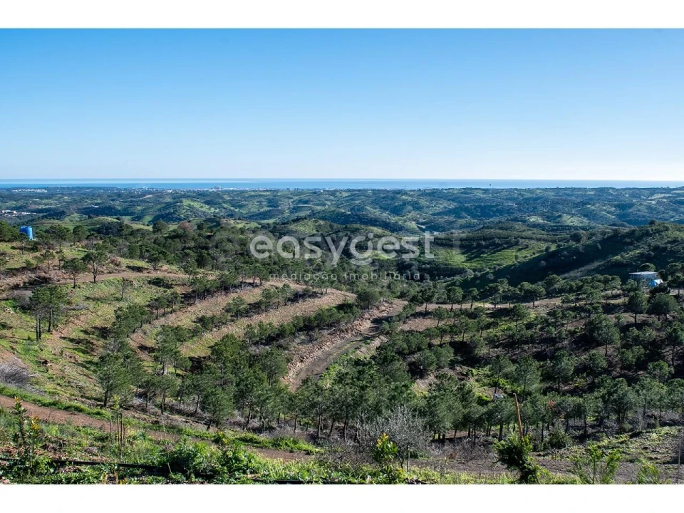 Terreno Agricola ou Rústico para Venda em Vila Nova de Cacela Foto 2