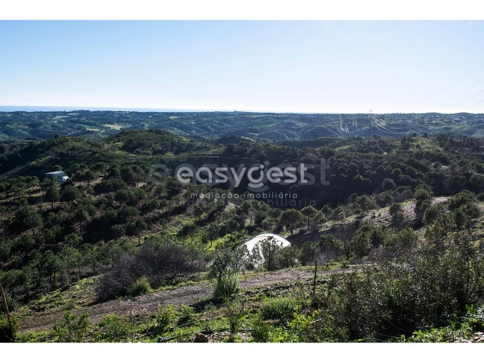 Terreno Agricola ou Rústico para Venda em Vila Nova de Cacela Foto 4
