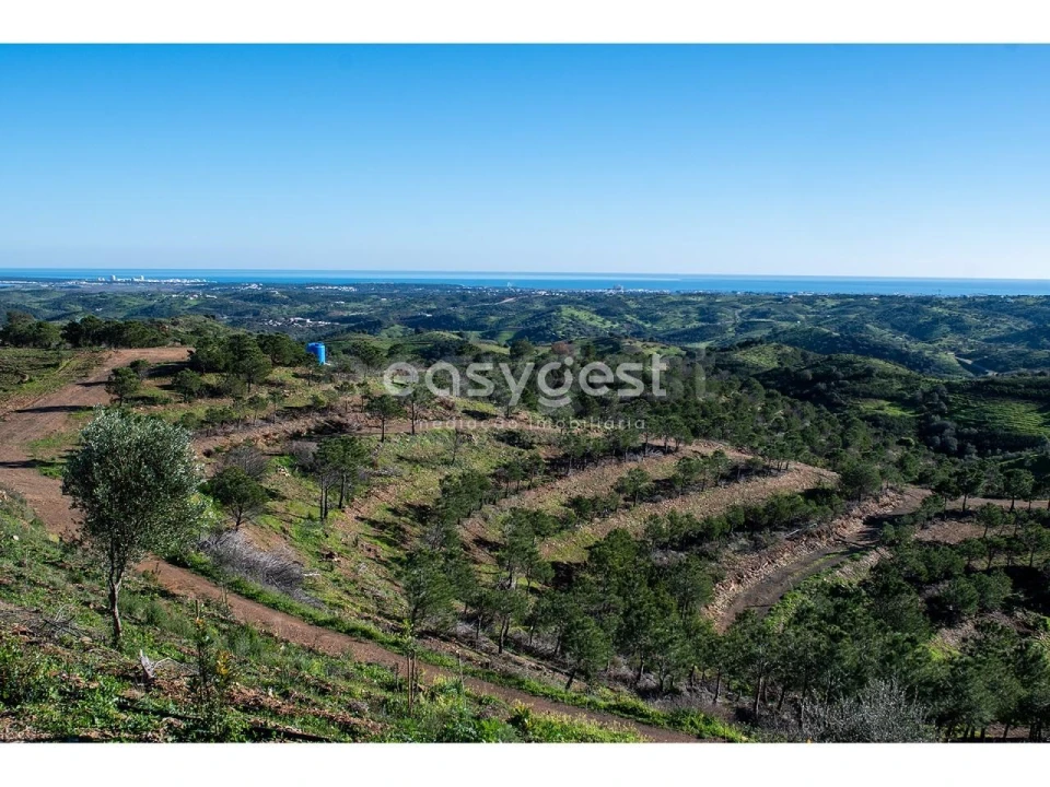 Terreno Agricola ou Rústico para Venda em Vila Nova de Cacela Foto 6