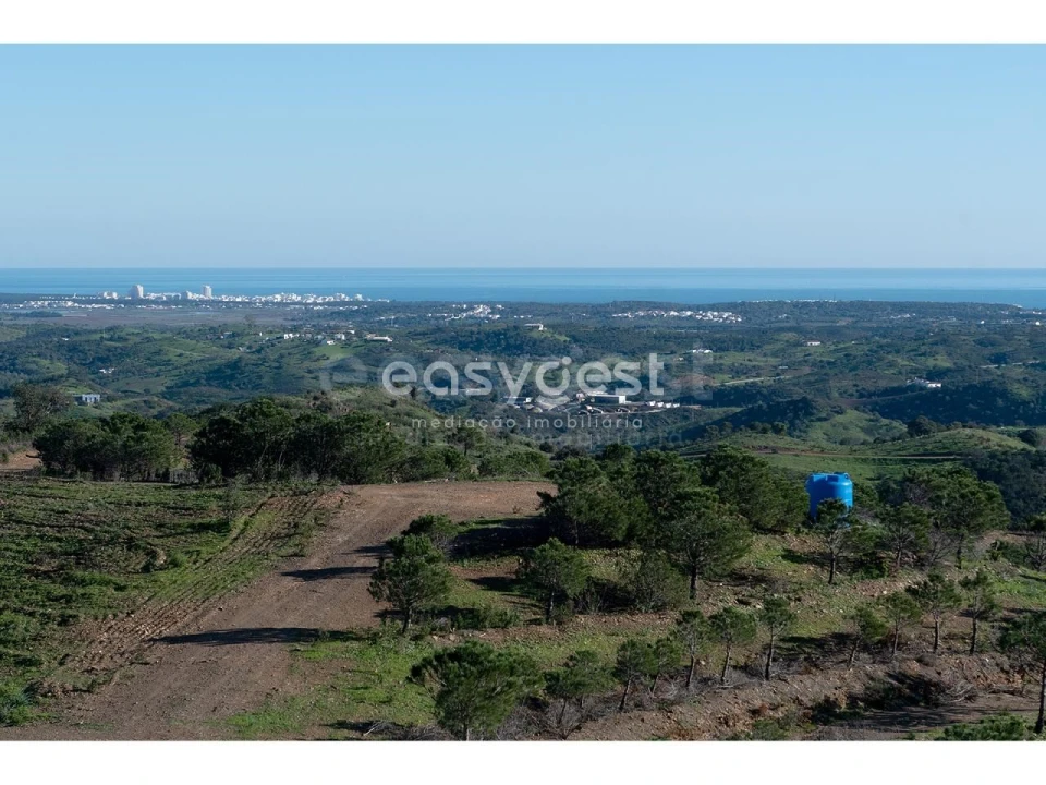 Terreno Agricola ou Rústico para Venda em Vila Nova de Cacela Foto 9