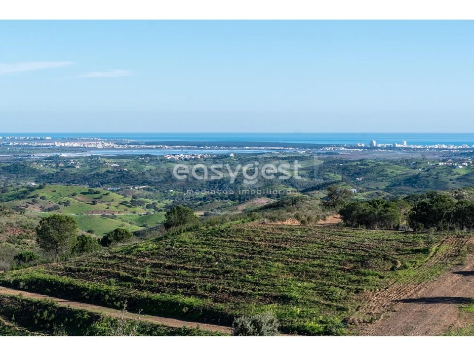 Terreno Agricola ou Rústico para Venda em Vila Nova de Cacela Foto 10
