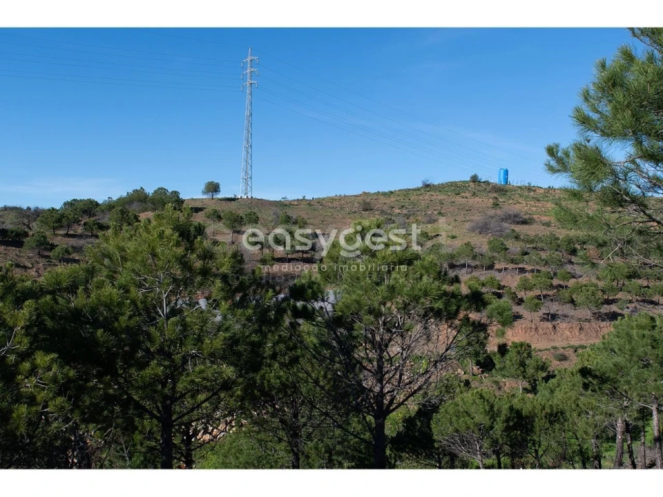 Terreno Agricola ou Rústico para Venda em Vila Nova de Cacela Foto 11