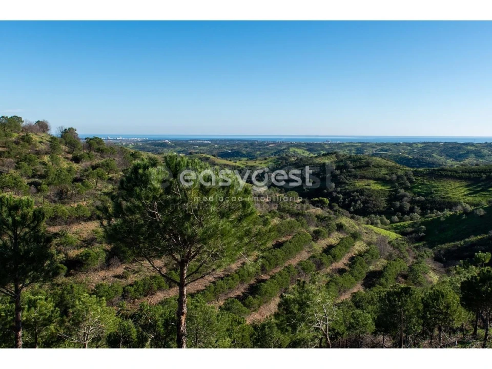 Terreno Agricola ou Rústico para Venda em Vila Nova de Cacela Foto 13