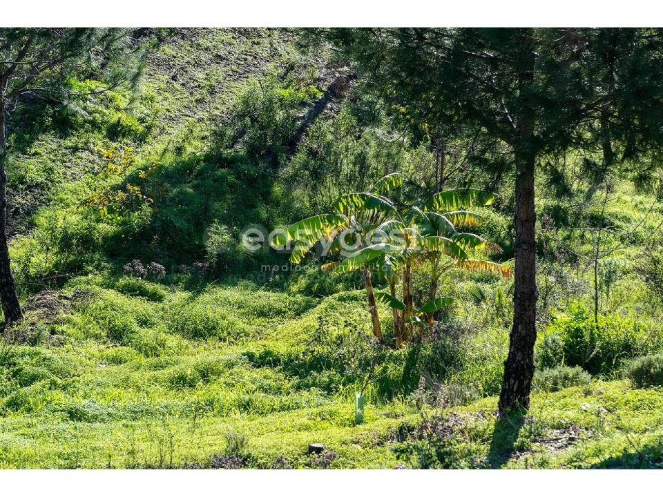 Terreno Agricola ou Rústico para Venda em Vila Nova de Cacela Foto 17