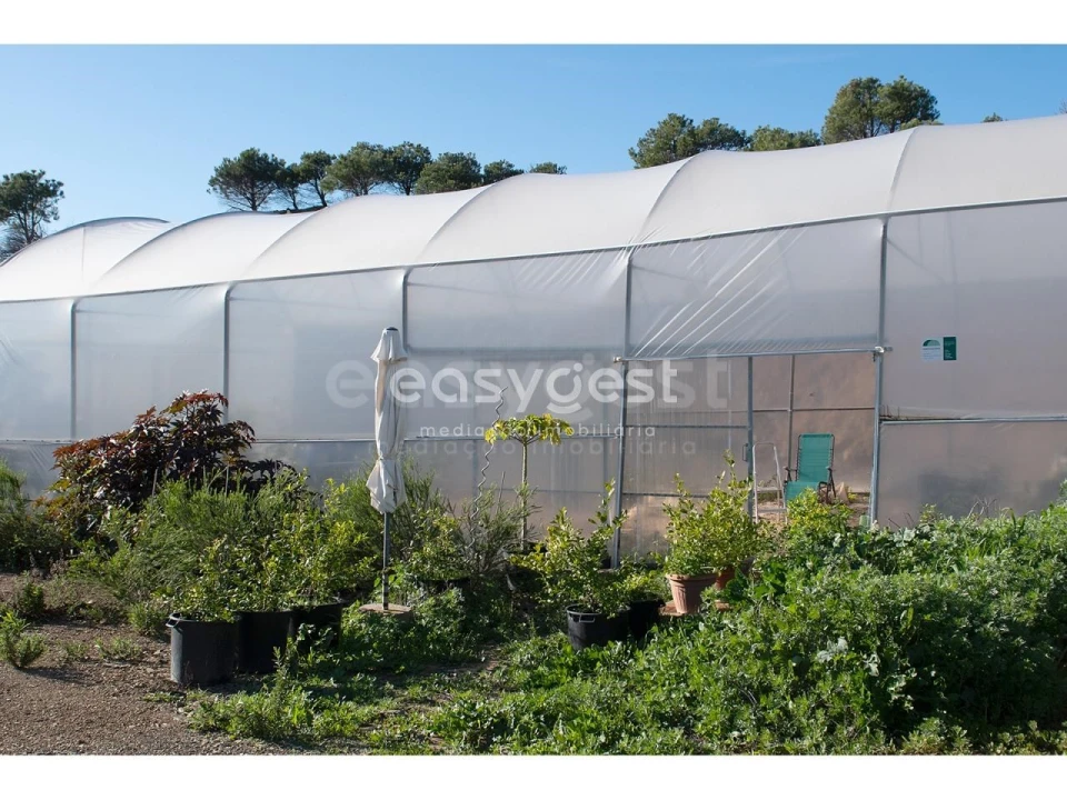 Terreno Agricola ou Rústico para Venda em Vila Nova de Cacela Foto 18