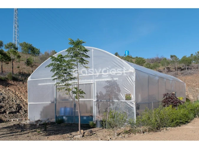 Terreno Agricola ou Rústico para Venda em Vila Nova de Cacela Foto 1