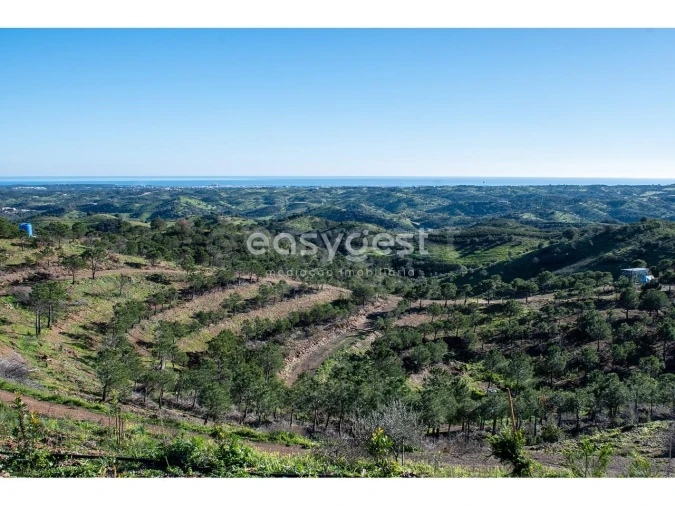 Terreno Agricola ou Rústico para Venda em Vila Nova de Cacela Foto 2