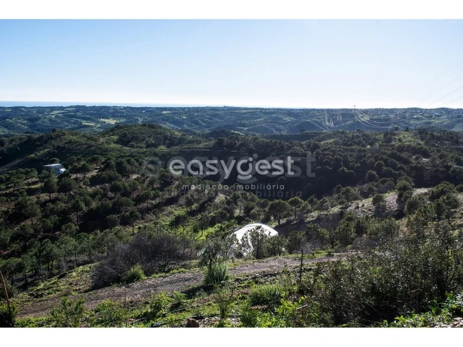 Terreno Agricola ou Rústico para Venda em Vila Nova de Cacela Foto 4