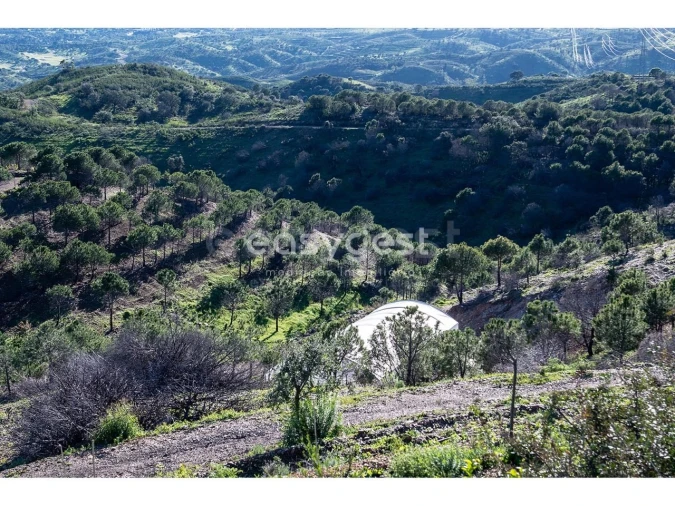 Terreno Agricola ou Rústico para Venda em Vila Nova de Cacela Foto 5
