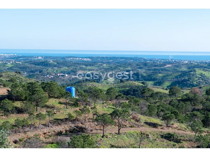 Terreno Agricola ou Rústico para Venda em Vila Nova de Cacela Foto 7