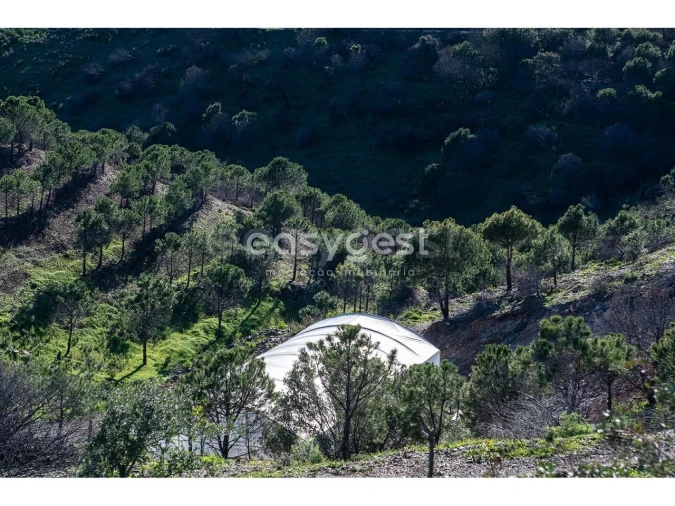 Terreno Agricola ou Rústico para Venda em Vila Nova de Cacela Foto 8