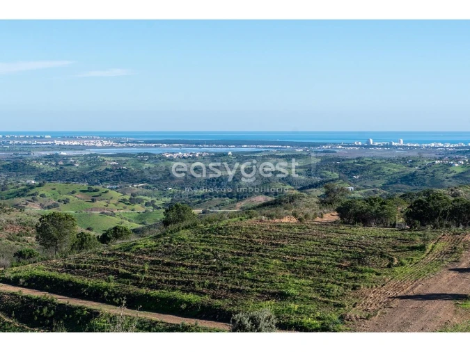 Terreno Agricola ou Rústico para Venda em Vila Nova de Cacela Foto 10