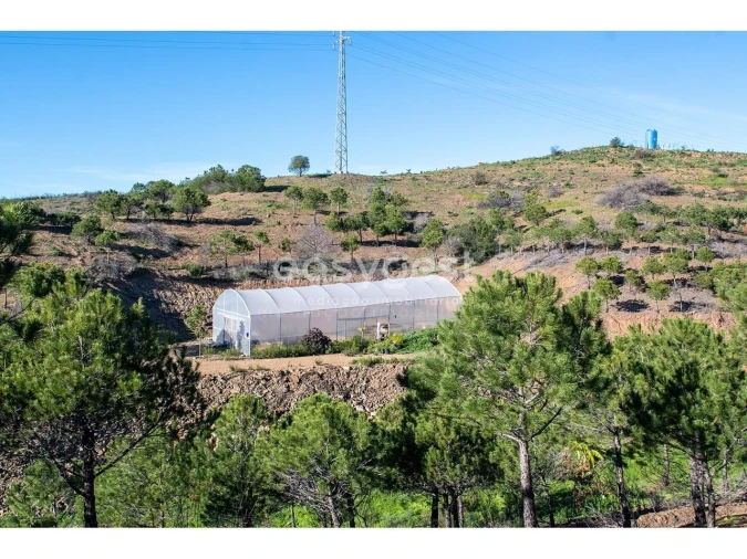 Terreno Agricola ou Rústico para Venda em Vila Nova de Cacela Foto 12
