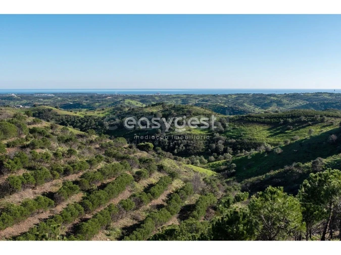 Terreno Agricola ou Rústico para Venda em Vila Nova de Cacela Foto 14