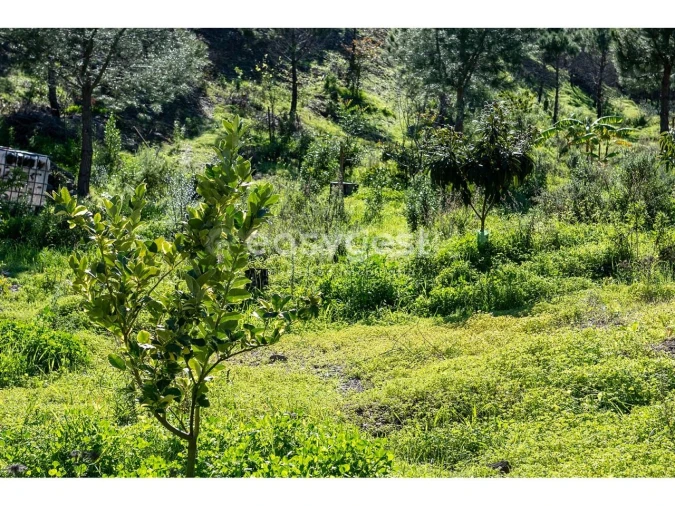Terreno Agricola ou Rústico para Venda em Vila Nova de Cacela Foto 16