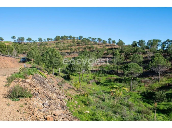 Terreno Agricola ou Rústico para Venda em Vila Nova de Cacela Foto 21